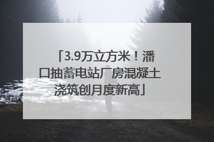 3.9万立方米！潘口抽蓄电站厂房混凝土浇筑创月度新高