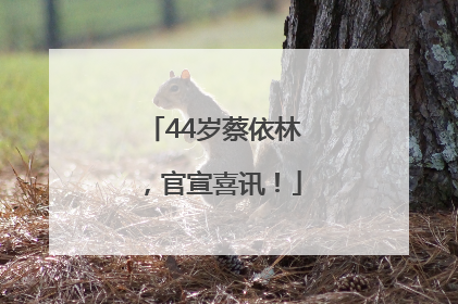 44岁蔡依林，官宣喜讯！