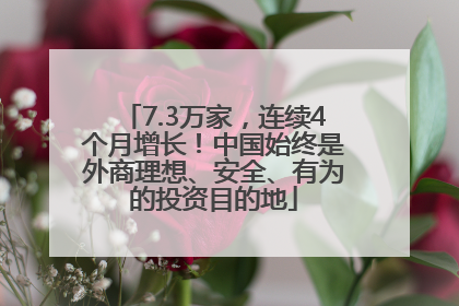 7.3万家，连续4个月增长！中国始终是外商理想、安全、有为的投资目的地