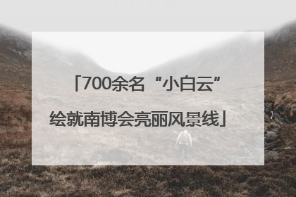 700余名“小白云”绘就南博会亮丽风景线
