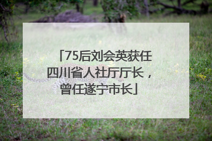 75后刘会英获任四川省人社厅厅长，曾任遂宁市长
