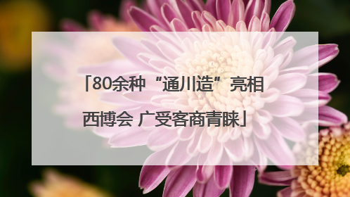 80余种“通川造”亮相西博会 广受客商青睐