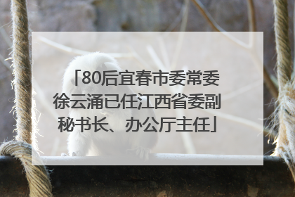 80后宜春市委常委徐云涌已任江西省委副秘书长、办公厅主任