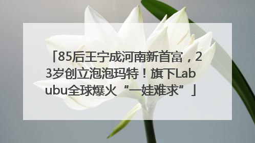 85后王宁成河南新首富，23岁创立泡泡玛特！旗下Labubu全球爆火“一娃难求”