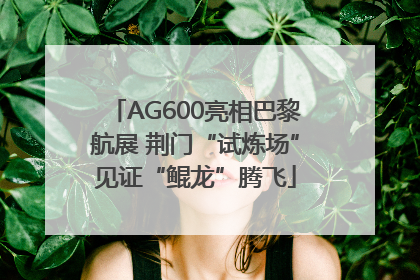 AG600亮相巴黎航展 荆门“试炼场”见证“鲲龙”腾飞