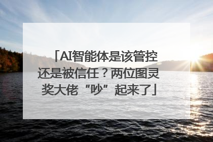 AI智能体是该管控还是被信任？两位图灵奖大佬“吵”起来了