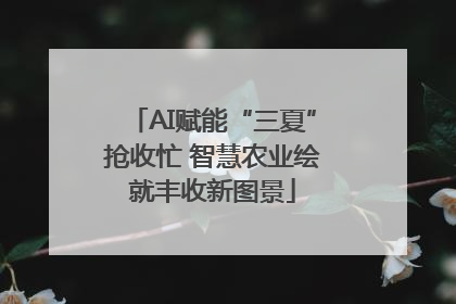 AI赋能“三夏”抢收忙 智慧农业绘就丰收新图景